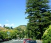 Centre of N.Z